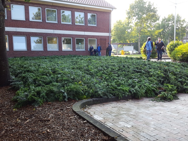 ../fotos/weltrekordversuch_ostrhauderfehn_2019/2019-06-12 19.37.04.jpg